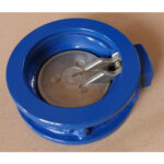 Check Valve 5 inch PN16