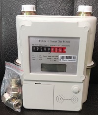 Pre-Paid Gas Meters G4.0